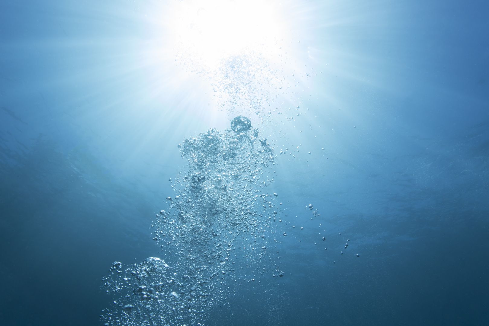 Bubbles rising to the sunny surface of the sea